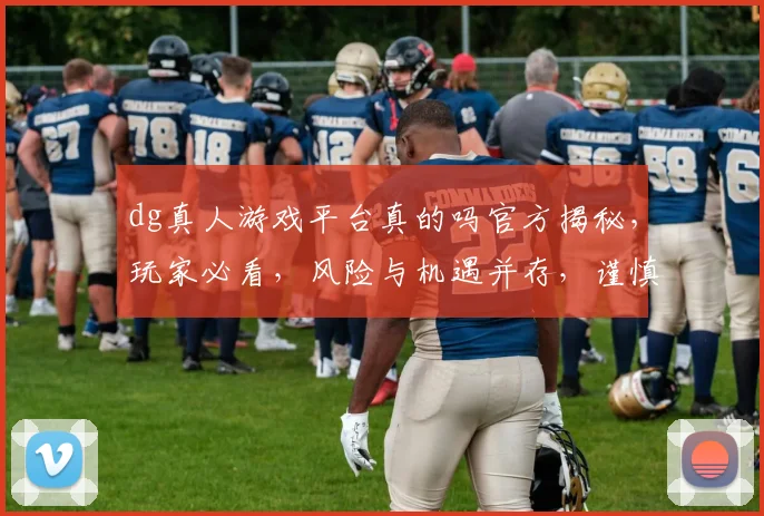 dg真人游戏平台真的吗官方揭秘，玩家必看，风险与机遇并存，谨慎选择，三思而行。